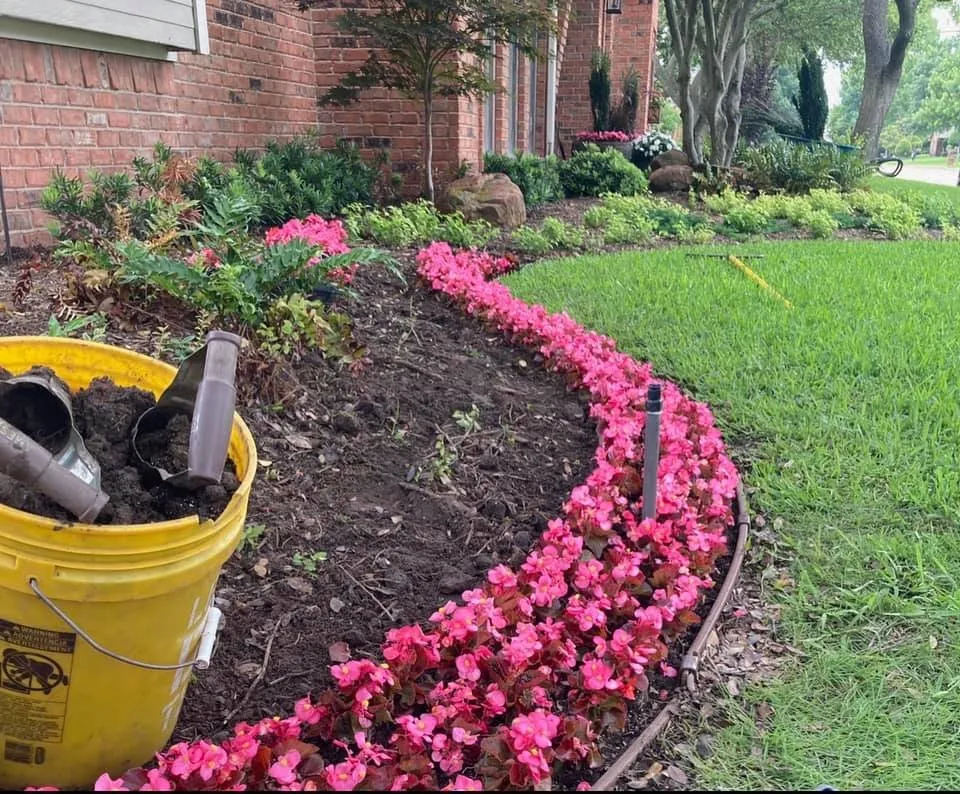 Professional lawn care service experts serving Dallas, TX - The Lawn Pros