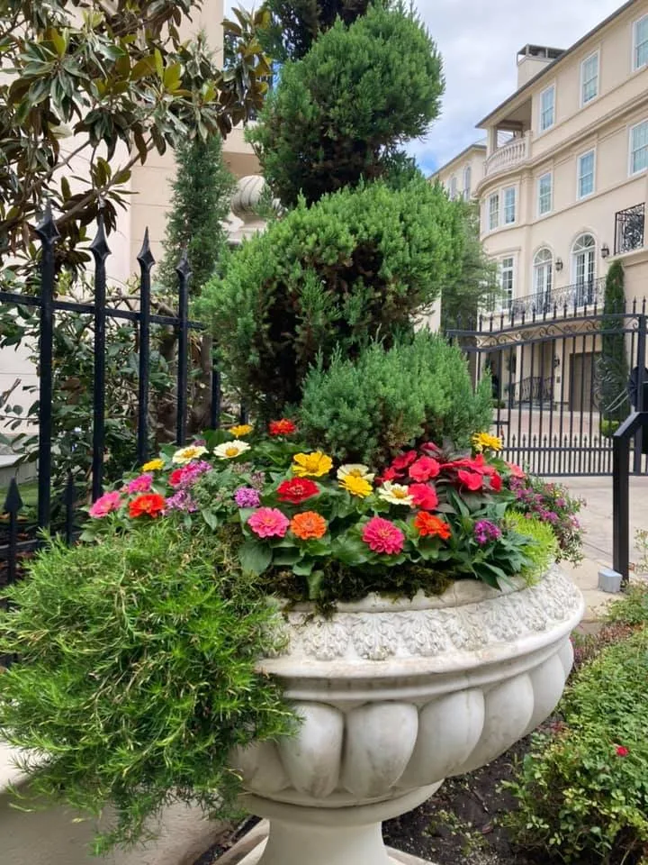 Expert garden landscaping for outdoor upgrades across Dallas, TX - The Lawn Pros