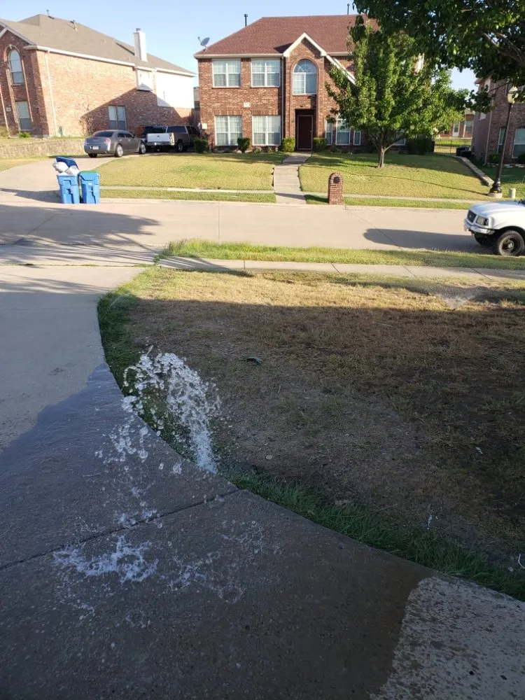 Local lawn care service in Dallas, TX - The Lawn Pros