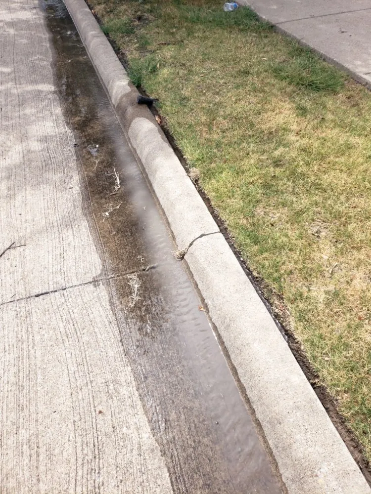 Custom landscaping services in Dallas, TX - The Lawn Pros