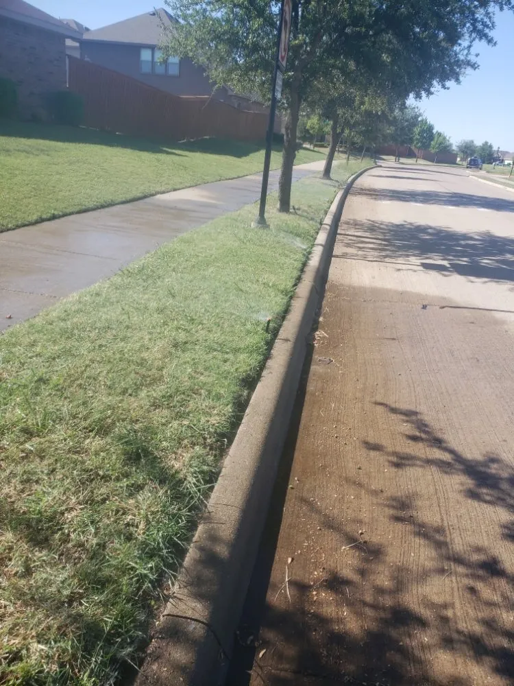 Professional residential landscaping experts serving Dallas, TX - The Lawn Pros