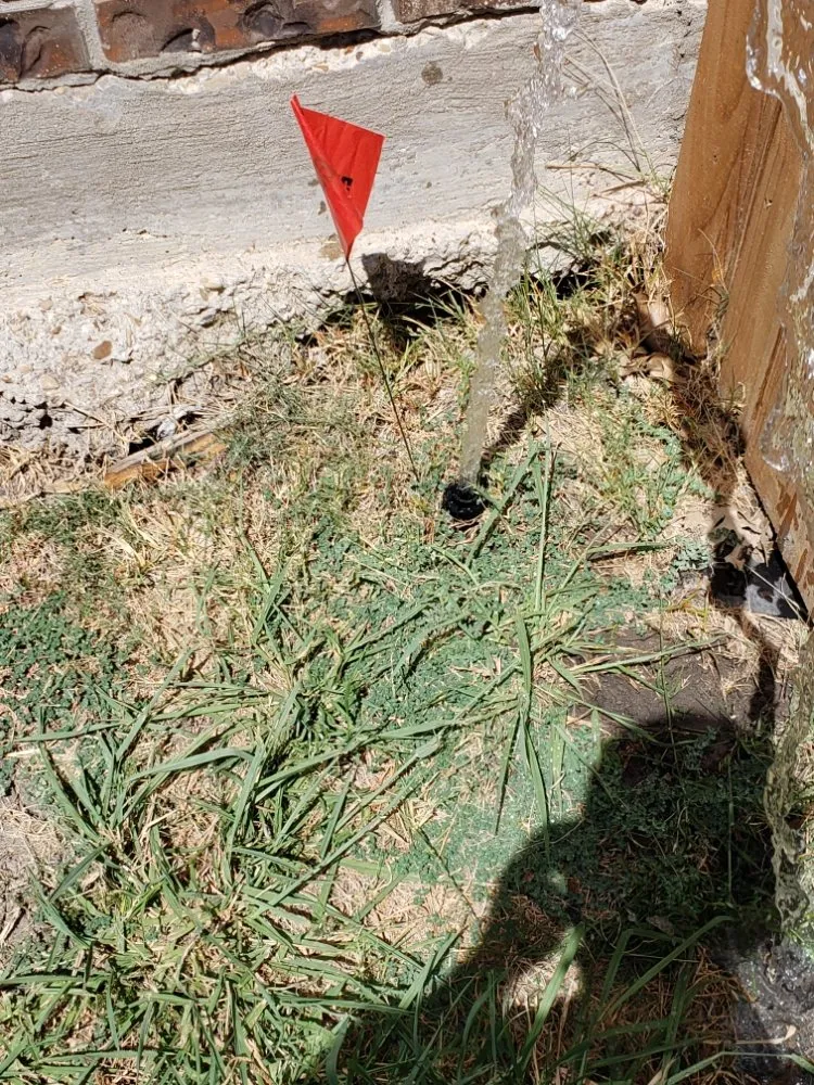 Professional residential landscaping experts serving Dallas, TX - The Lawn Pros