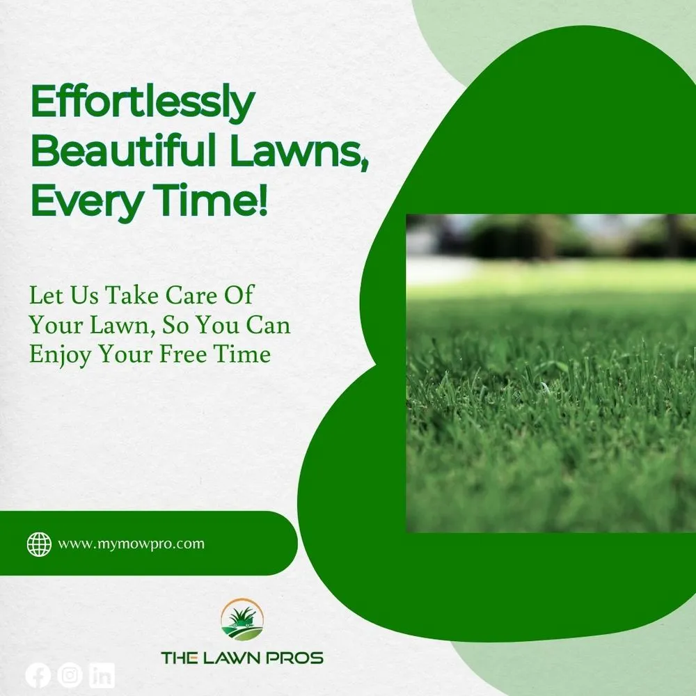 Expert landscape design with custom design in Westminster, CO by The Lawn Pros