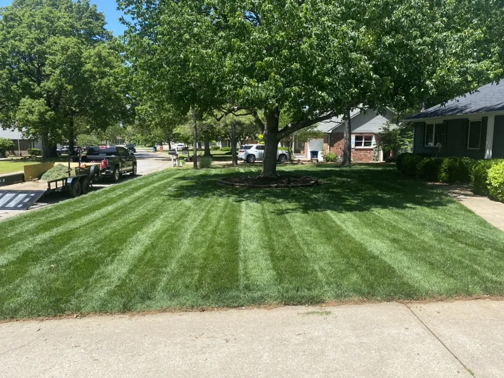 Top-rated yard cleanup service near you across Carl Junction, MO - The Lawn Provider