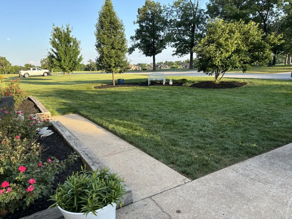 Top-rated yard cleanup service in Carl Junction, MO by The Lawn Provider