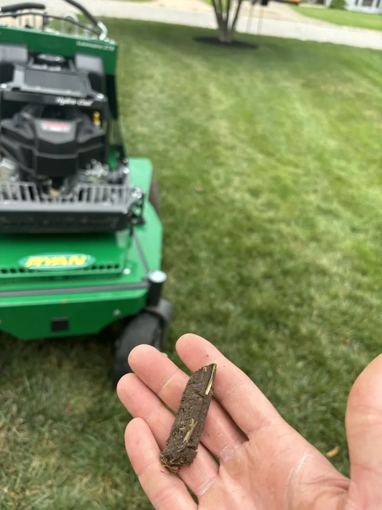 Local yard maintenance experts serving Carl Junction, MO - The Lawn Provider