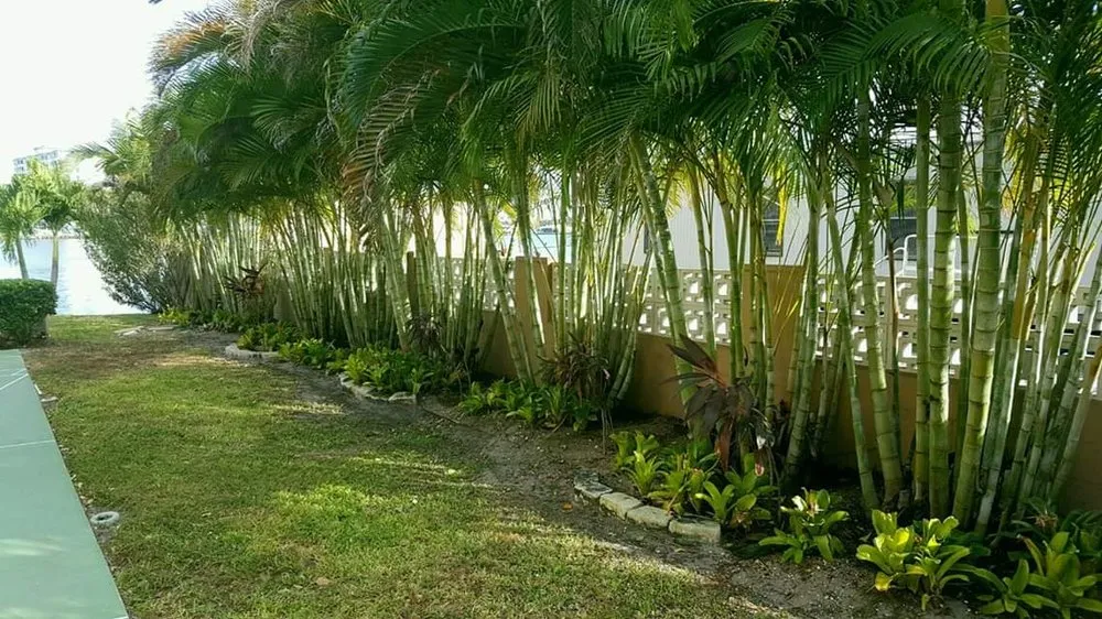 Reliable outdoor landscaping for outdoor upgrades in Clearwater, FL by The Lawn Proz of Florida