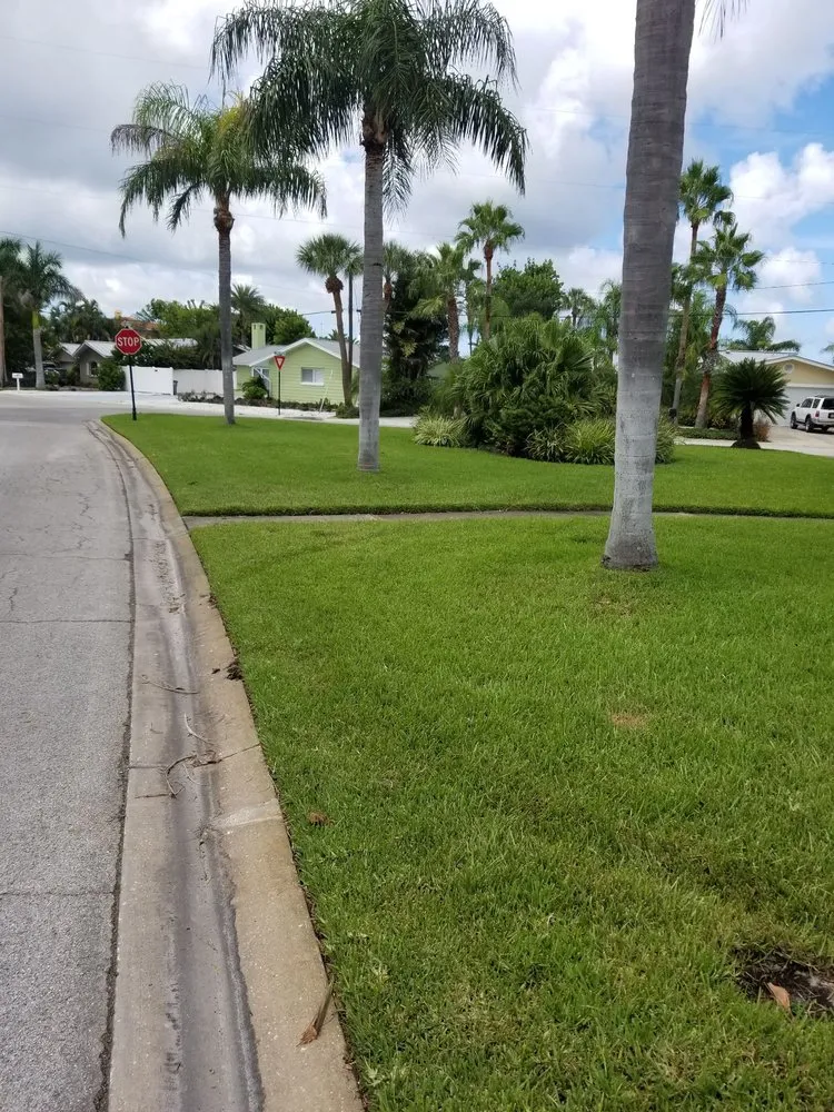 Expert lawn care service experts serving Clearwater, FL - The Lawn Proz of Florida