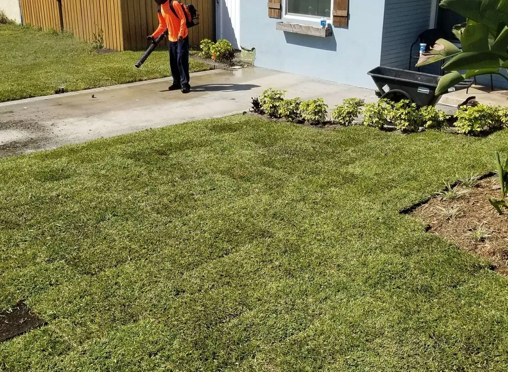 Professional yard cleanup service with custom design in Clearwater, FL by The Lawn Proz of Florida