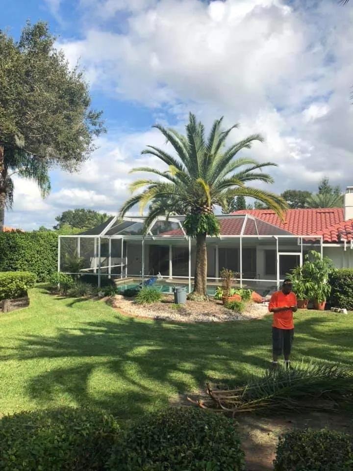 Professional yard cleanup service experts serving Clearwater, FL - The Lawn Proz of Florida