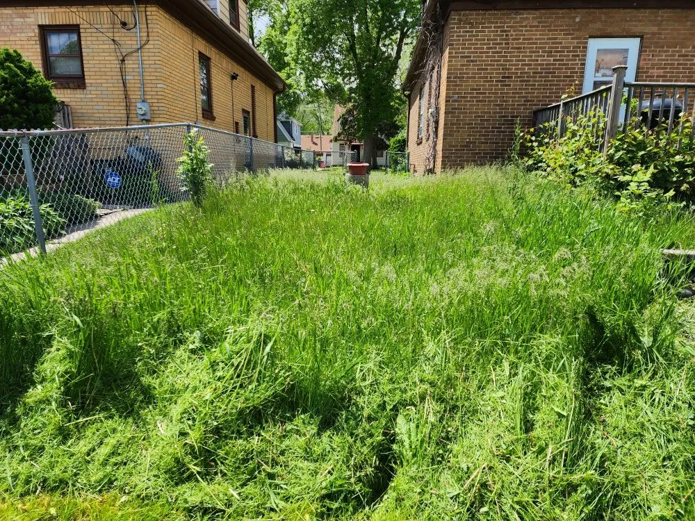 Trusted yard maintenance in Milwaukee, WI - The Lawn Queen