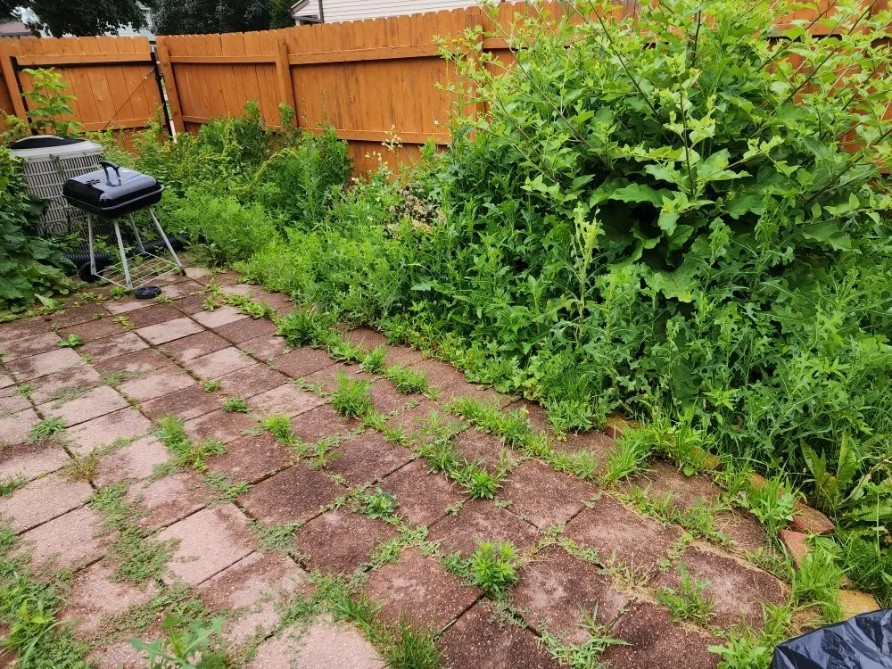 Reliable yard cleanup service for homes in Milwaukee, WI by The Lawn Queen