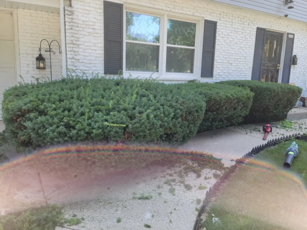 Affordable yard cleanup service experts serving Milwaukee, WI - The Lawn Queen
