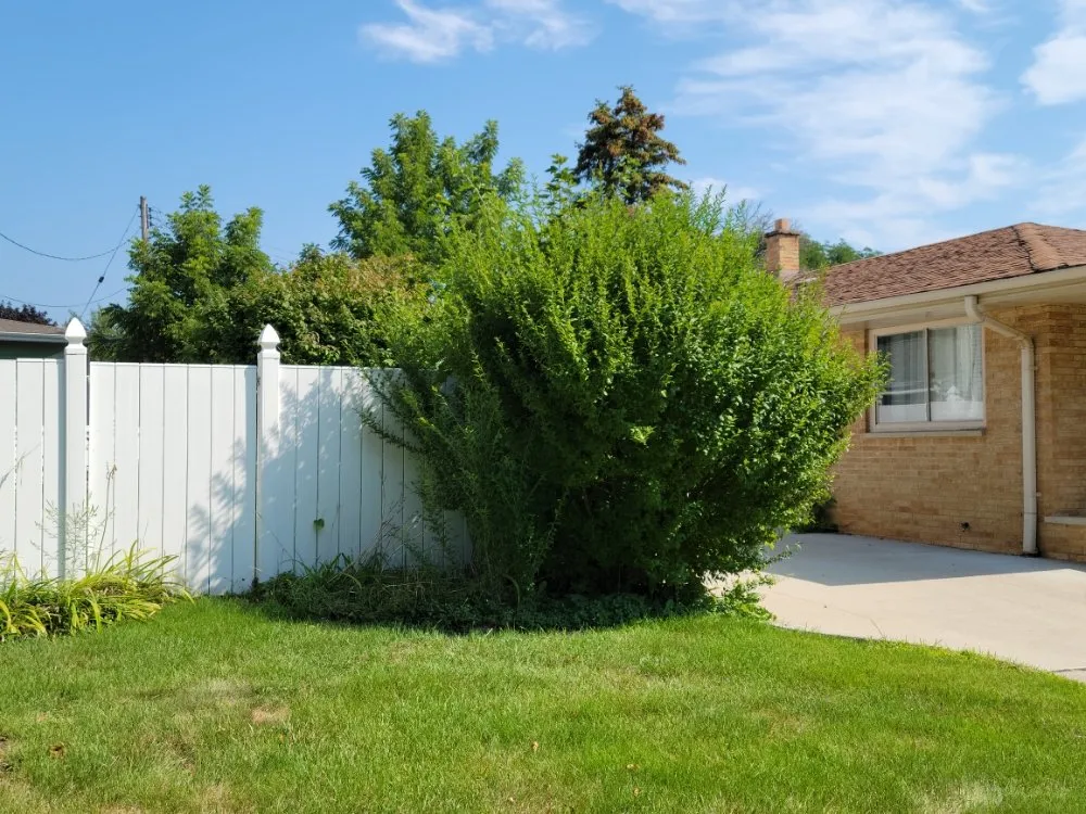 Custom lawn care service experts serving Milwaukee, WI - The Lawn Queen