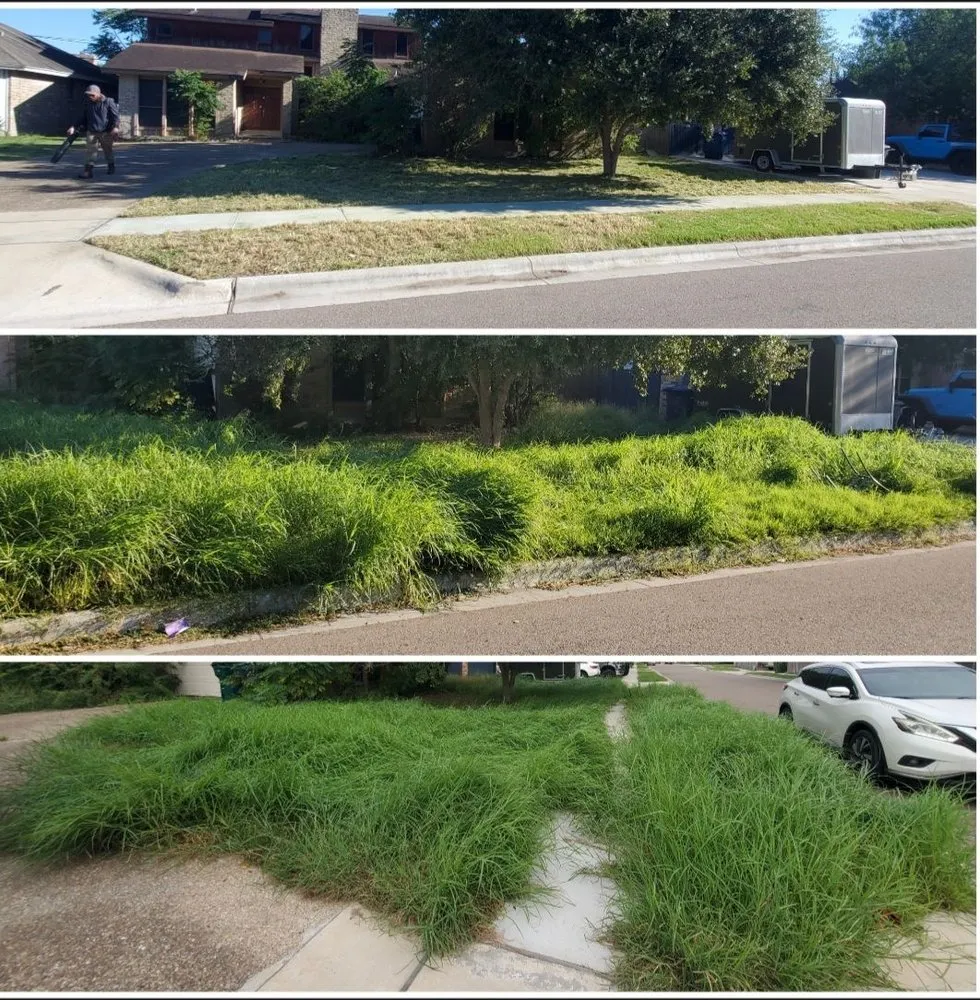 Top-rated landscape installation in Corpus Christi, TX by The Lawn Ranger and Pronto Lawn and Tree Services