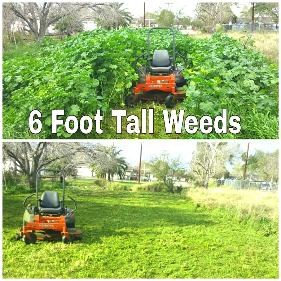 Reliable garden landscaping in Corpus Christi, TX - The Lawn Ranger and Pronto Lawn and Tree Services