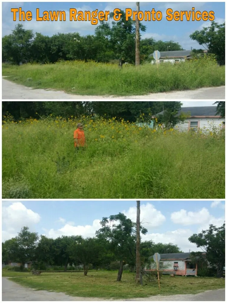 Top-rated lawn care service for year-round maintenance in Corpus Christi, TX by The Lawn Ranger and Pronto Lawn and Tree Services