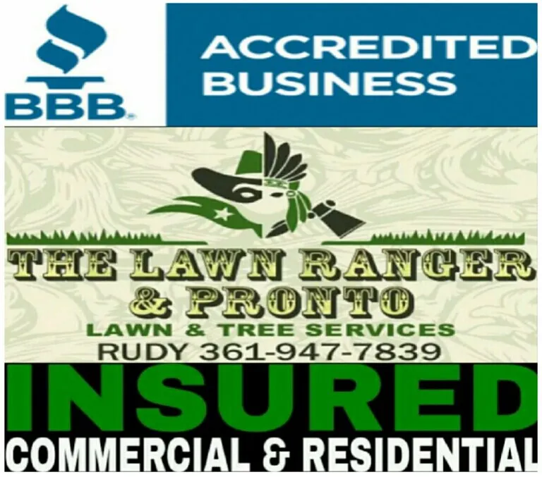 Affordable landscaping services in Corpus Christi, TX by The Lawn Ranger and Pronto Lawn and Tree Services