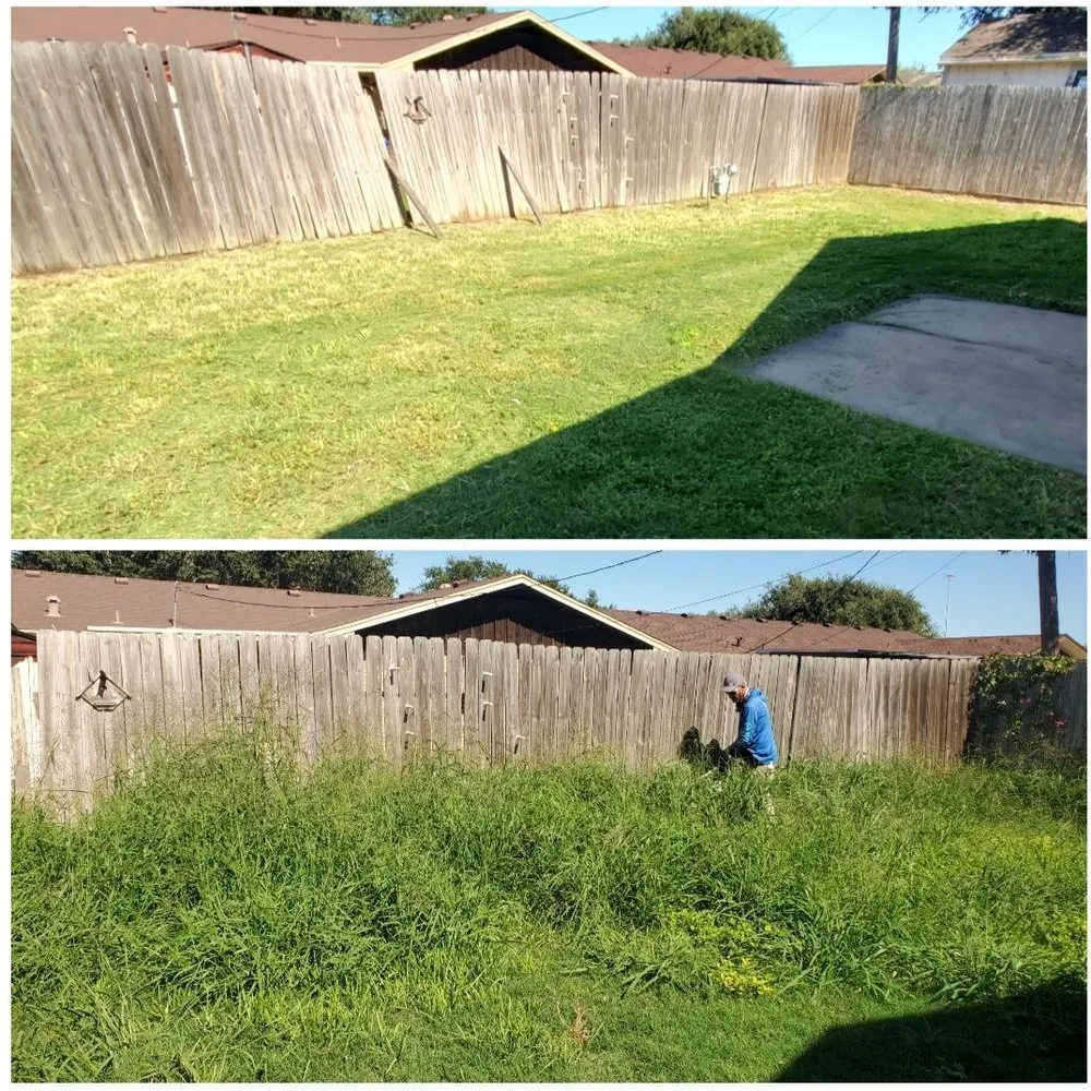 Custom lawn mowing service experts serving Corpus Christi, TX - The Lawn Ranger and Pronto Lawn and Tree Services