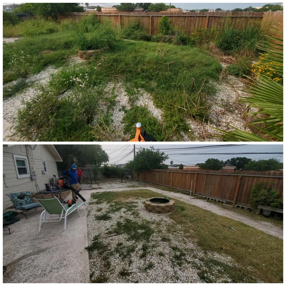 Professional yard maintenance for beautiful yards in Corpus Christi, TX by The Lawn Ranger and Pronto Lawn and Tree Services