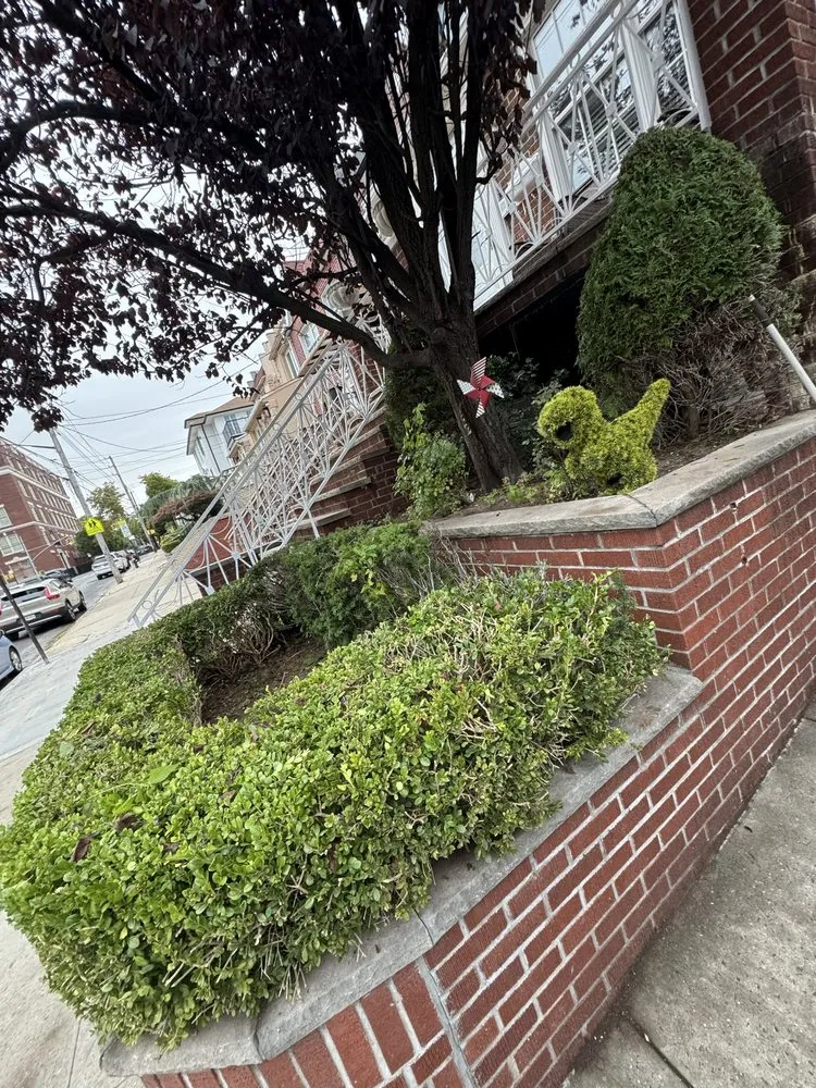 Local landscape design in Brooklyn, NY - The Lawn Ranger