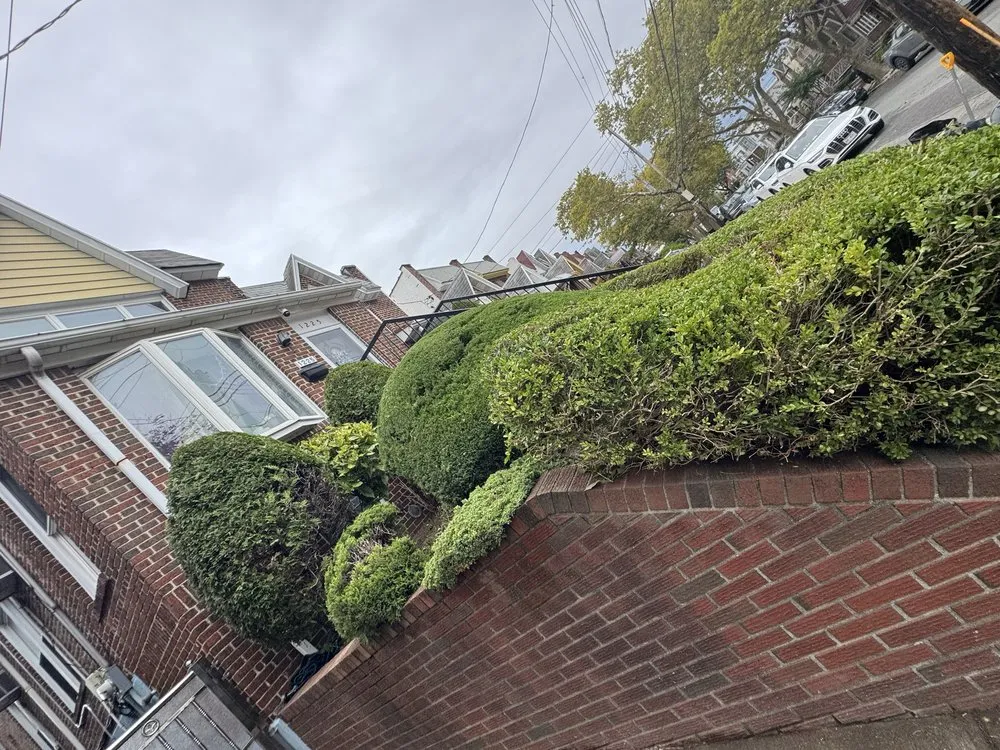 Local landscape installation for beautiful yards across Brooklyn, NY - The Lawn Ranger