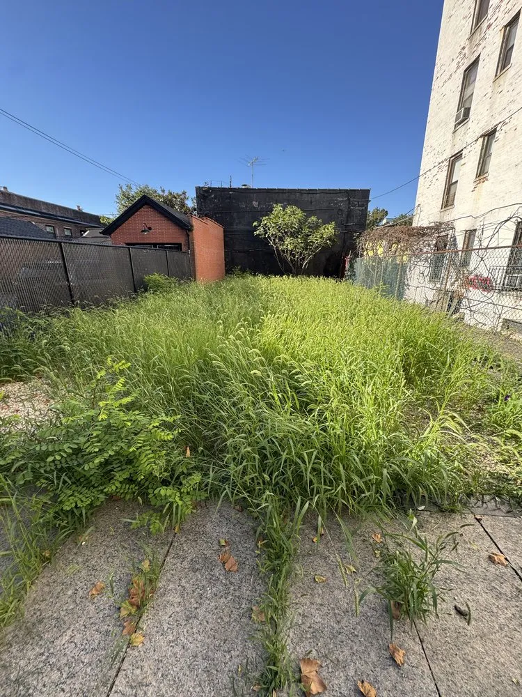 Expert garden landscaping in Brooklyn, NY by The Lawn Ranger