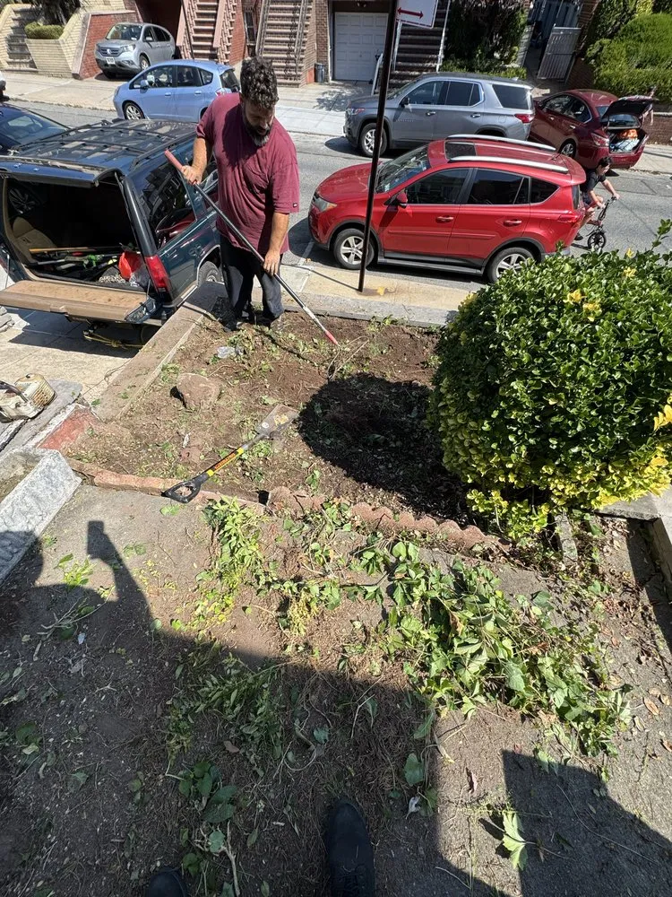 Top-rated yard maintenance experts serving Brooklyn, NY - The Lawn Ranger