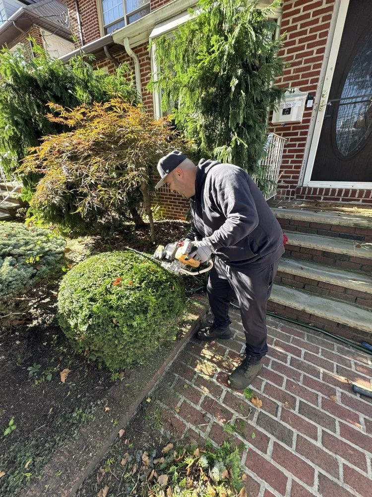 Trusted yard cleanup service for homes in Brooklyn, NY by The Lawn Ranger