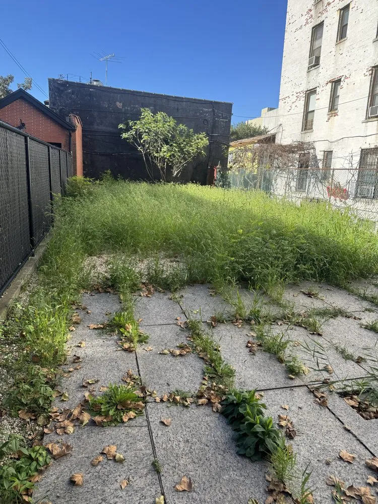 Expert lawn care service in Brooklyn, NY by The Lawn Ranger