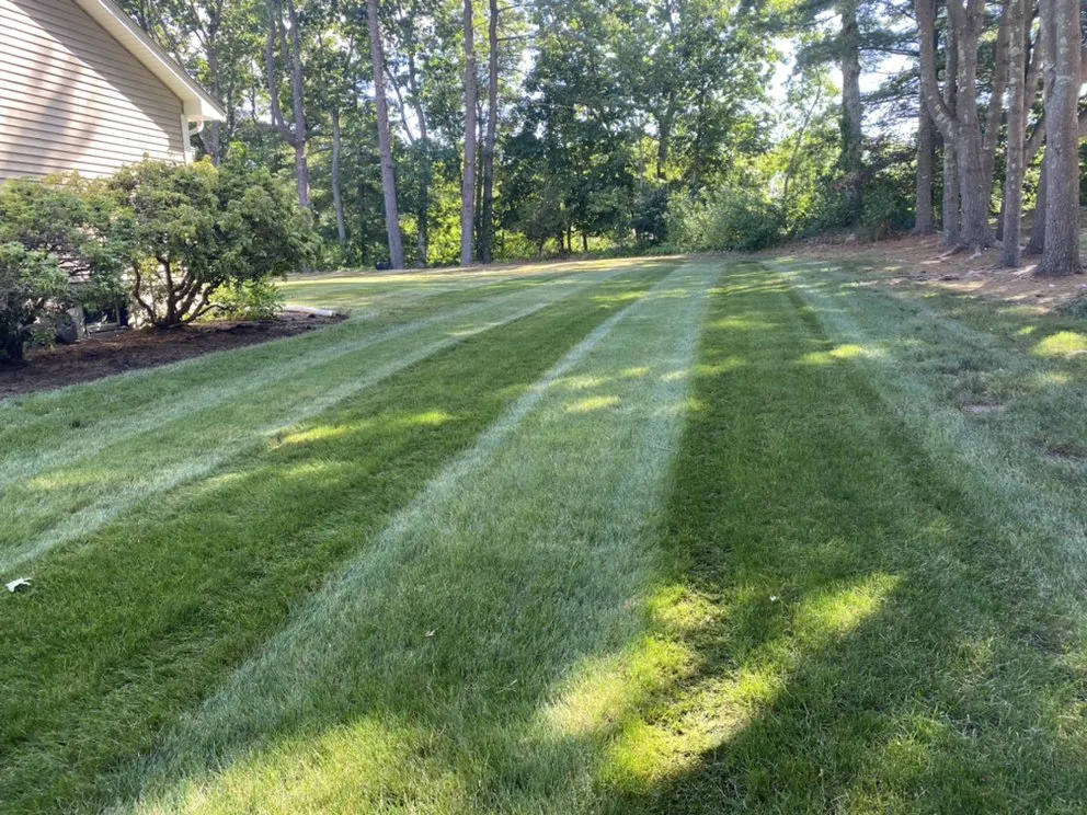 Trusted landscaping services for year-round maintenance across Canton, MA - The Lawn Ranger