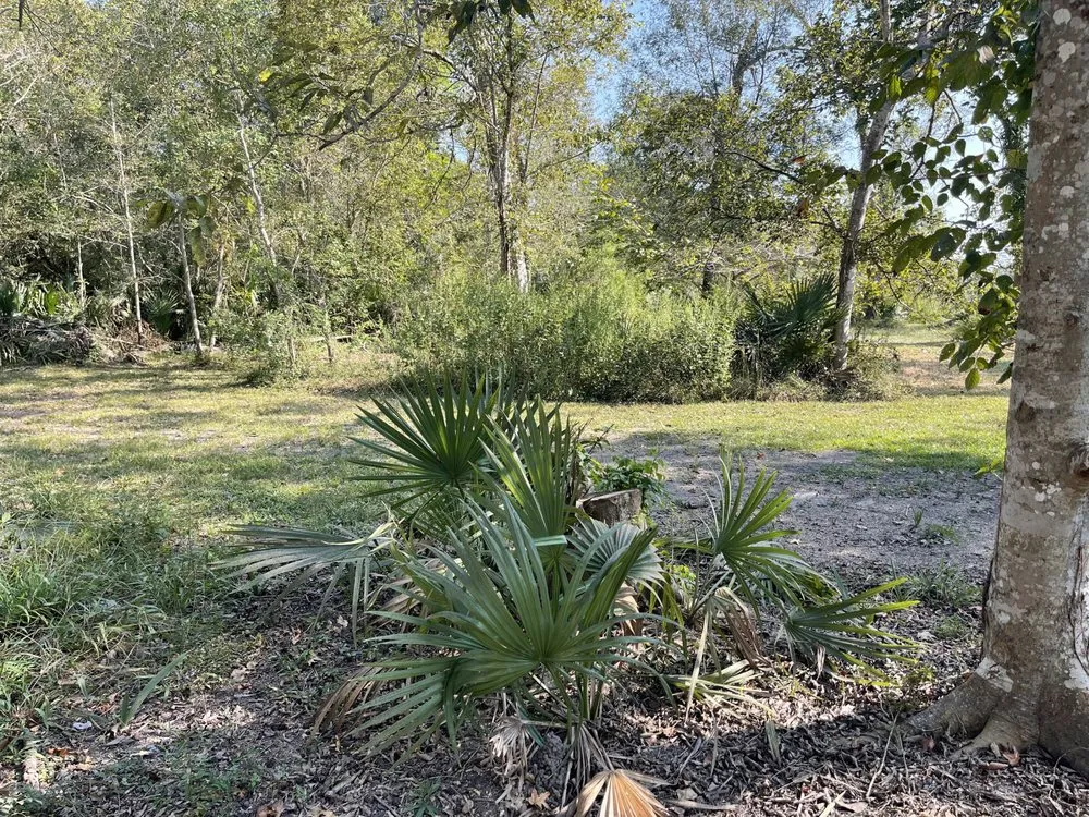 Local outdoor landscaping for outdoor upgrades in Crosby, TX by The Lawn Ranger