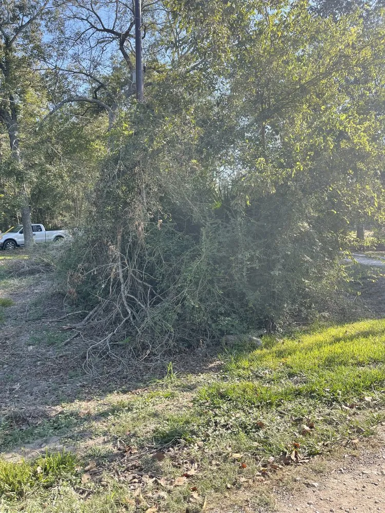 Professional lawn mowing service with custom design in Crosby, TX by The Lawn Ranger