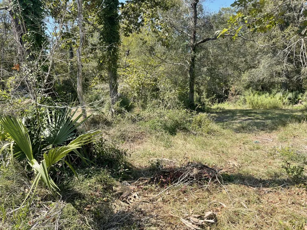 Custom yard cleanup service for outdoor upgrades across Crosby, TX - The Lawn Ranger