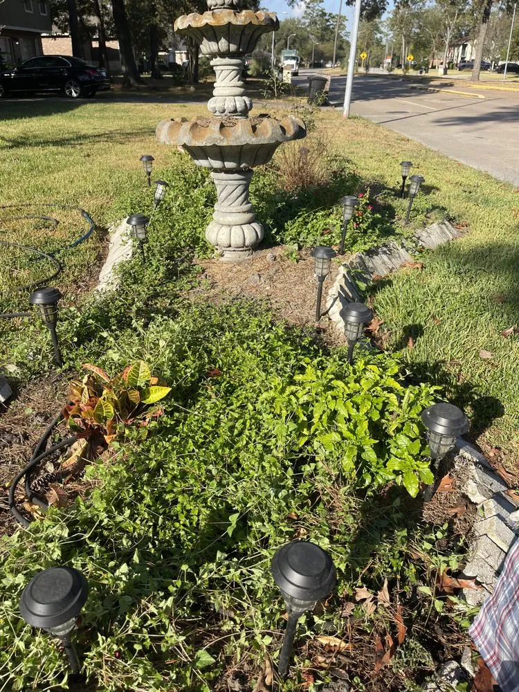 Affordable yard cleanup service in Crosby, TX - The Lawn Ranger