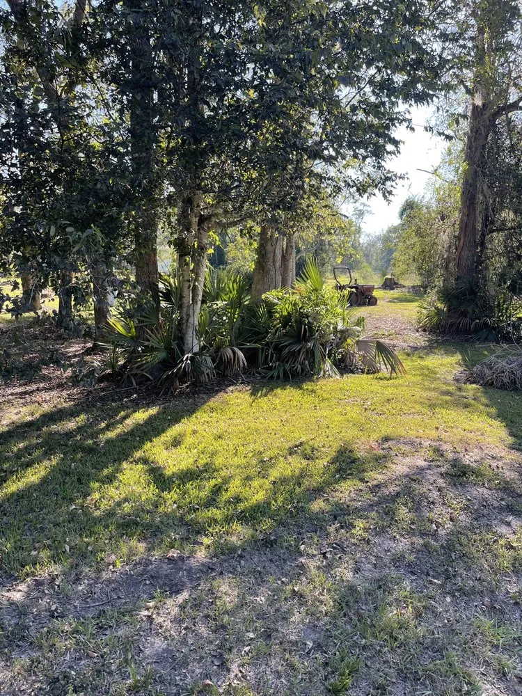 Reliable landscaping services in Crosby, TX - The Lawn Ranger