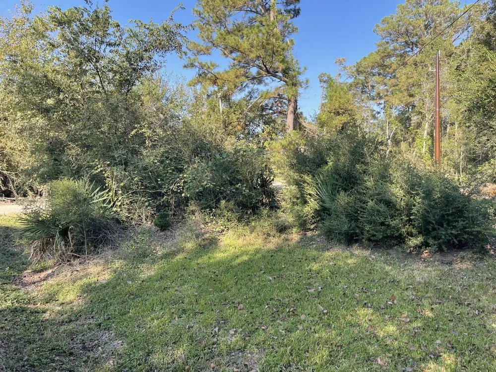 Custom yard cleanup service with custom design across Crosby, TX - The Lawn Ranger