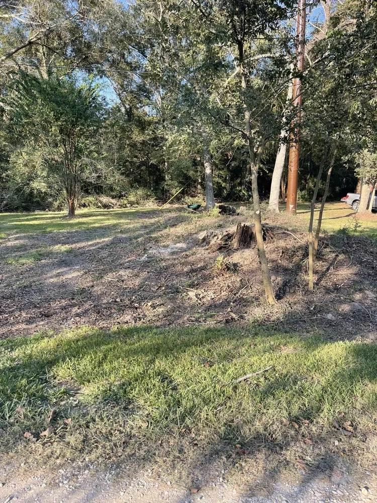 Professional garden landscaping in Crosby, TX by The Lawn Ranger