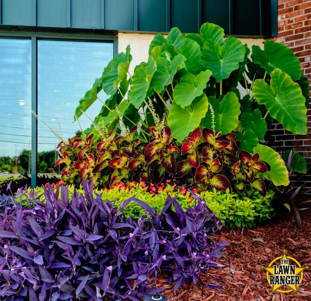 Expert yard cleanup service experts serving Huntsville, AL - The Lawn Ranger