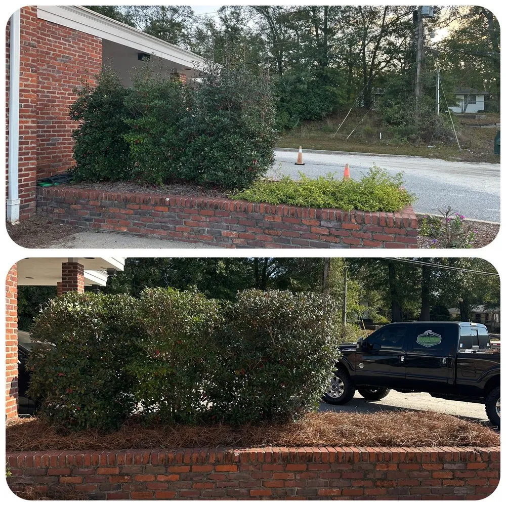 Local yard cleanup service near you in Camden, SC by The Lawn Rangers