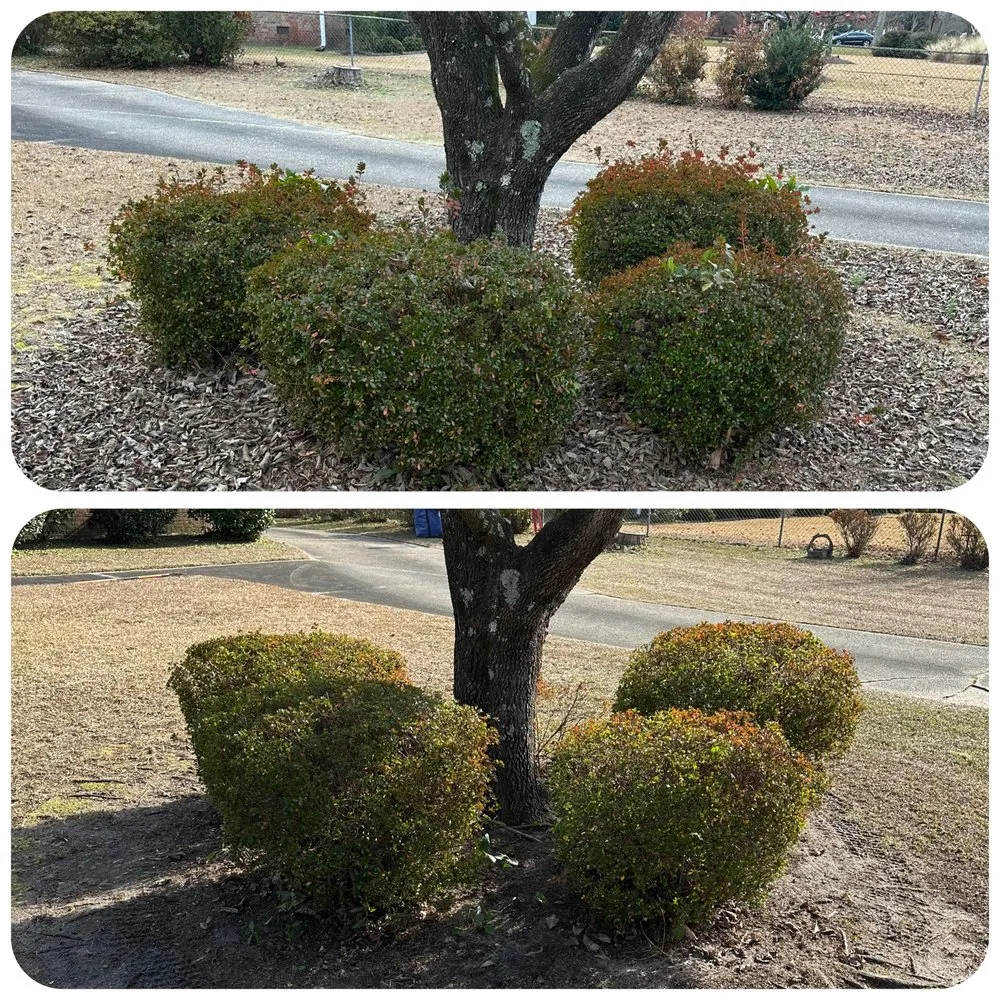 Trusted outdoor landscaping with custom design across Camden, SC - The Lawn Rangers