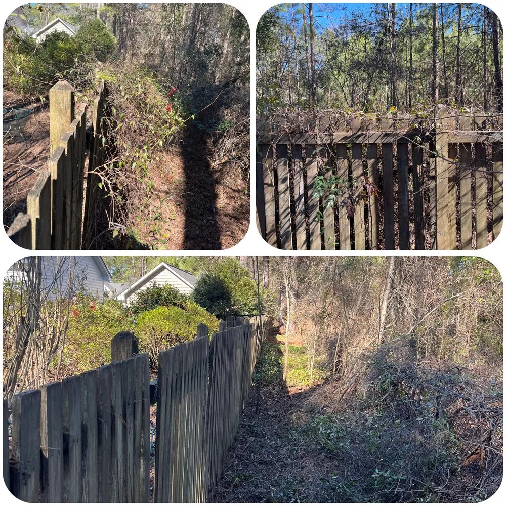 Trusted yard maintenance experts serving Camden, SC - The Lawn Rangers