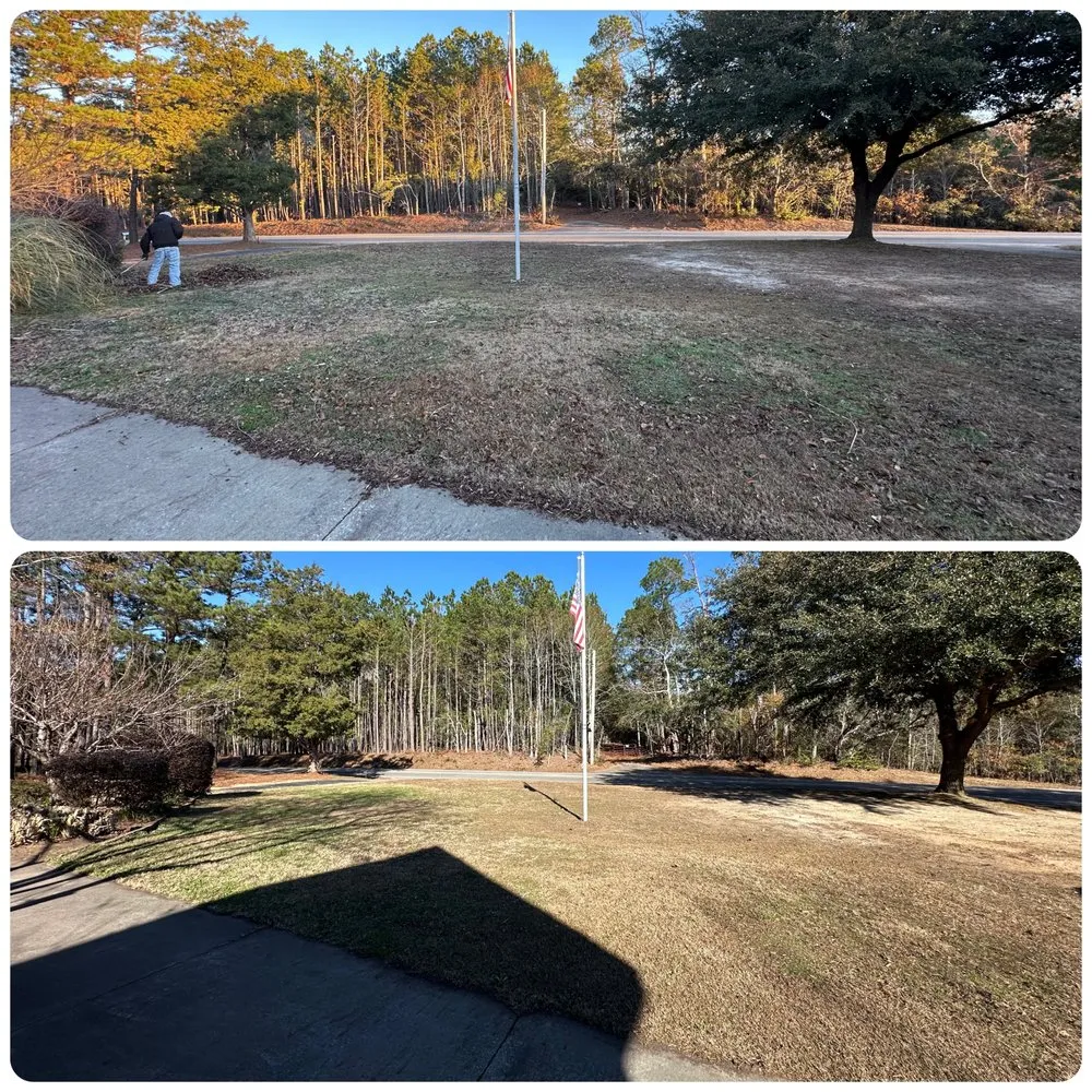 Expert residential landscaping for residential properties in Camden, SC by The Lawn Rangers