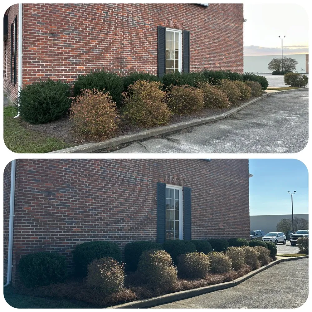 Trusted landscape design for homes in Camden, SC by The Lawn Rangers