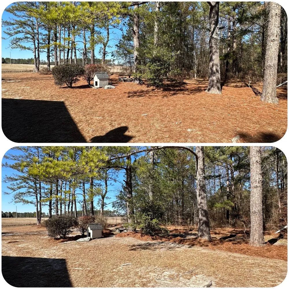 Top-rated landscape design experts serving Camden, SC - The Lawn Rangers