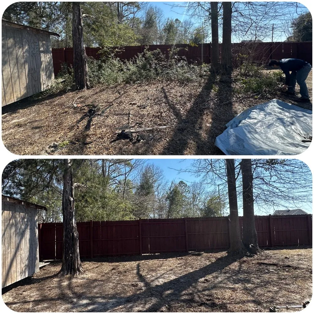 Affordable residential landscaping with custom design across Camden, SC - The Lawn Rangers