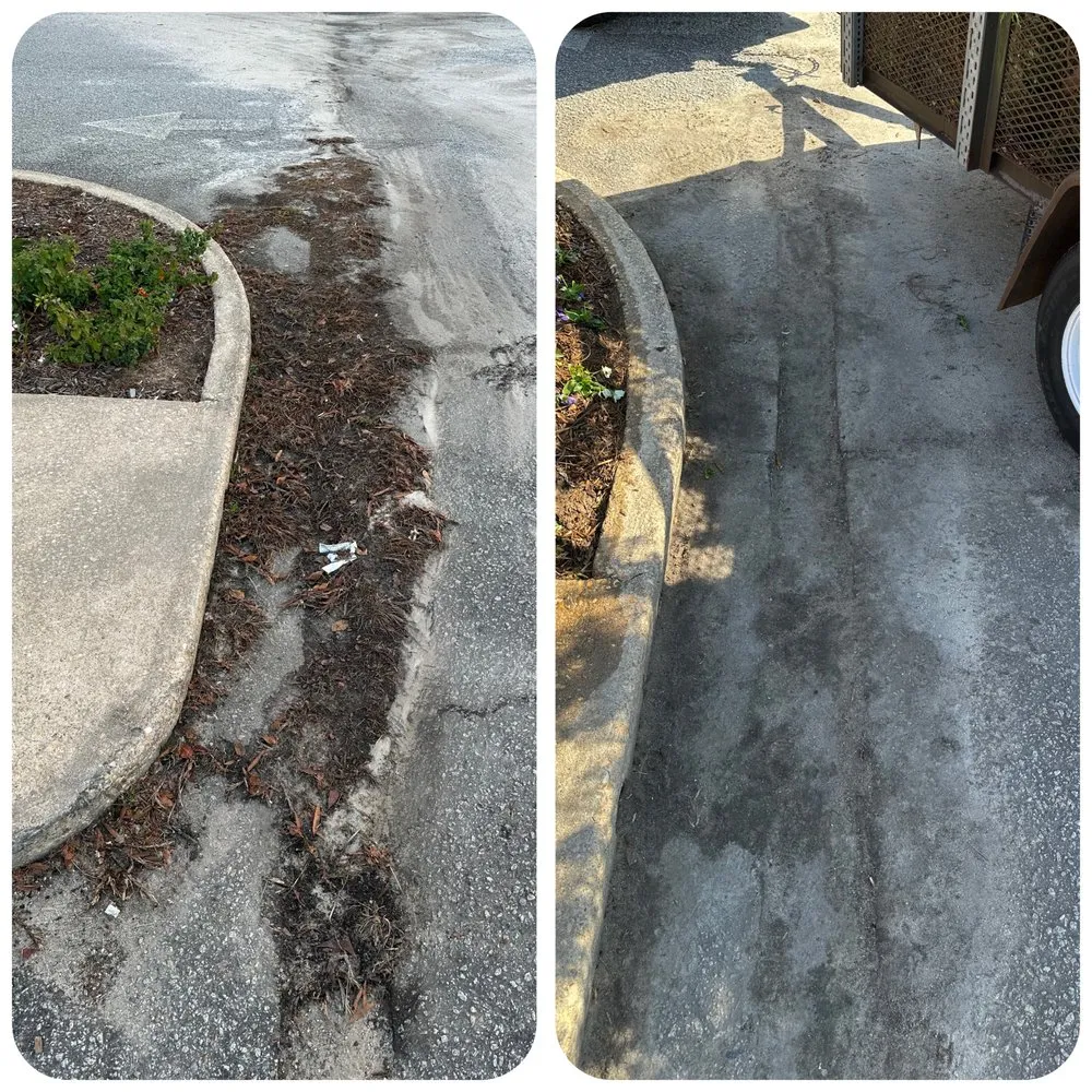 Trusted residential landscaping for beautiful yards across Camden, SC - The Lawn Rangers