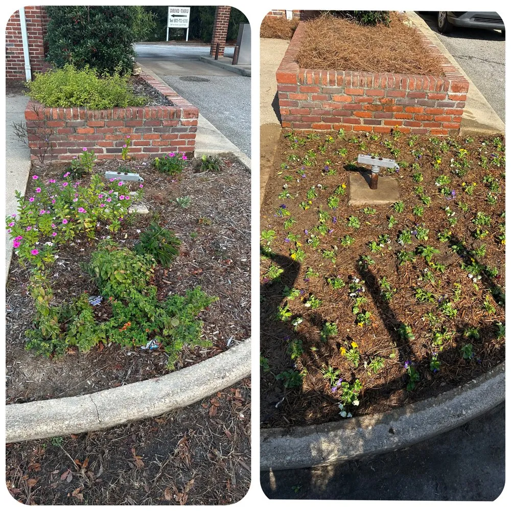 Custom yard cleanup service experts serving Camden, SC - The Lawn Rangers