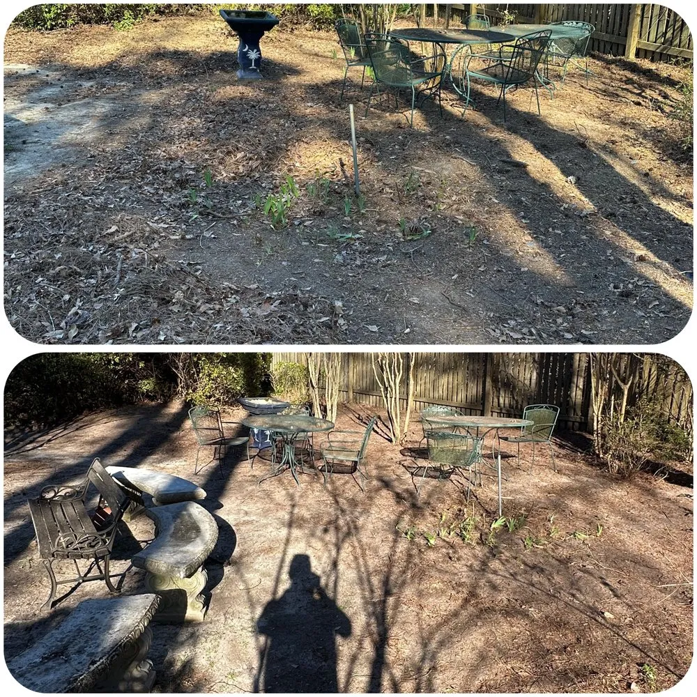 Reliable landscaping services for beautiful yards across Camden, SC - The Lawn Rangers