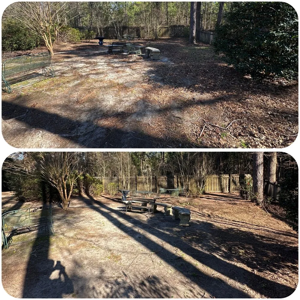 Top-rated lawn care service for beautiful yards in Camden, SC by The Lawn Rangers